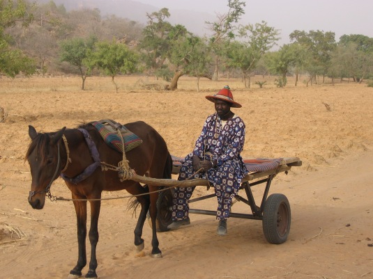 Mali Pays Dogon: Charrette au pied de la falaise de Biandagara