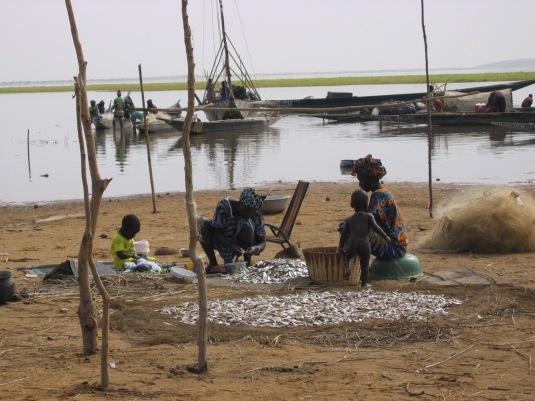 Mali Fleuve Niger: Femmes bozos faisant sécher le poisson