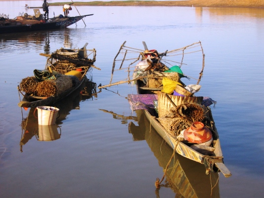 Mali Fleuve Niger: Barques des pêcheurs bozos