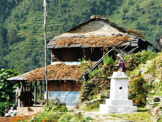 Nepal Annapurnas: Maison traditionnelle avec un chorten blanc