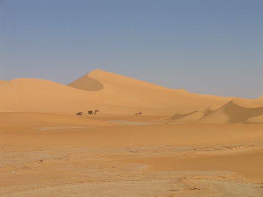 Niger Adar Chiriet: Magnifique ondulation de dunes