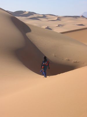 Niger Entre Adar Chiriet et Arakao: Au désert comme l'a dit Théodore Monod : la distance temps remplace la distance métrique