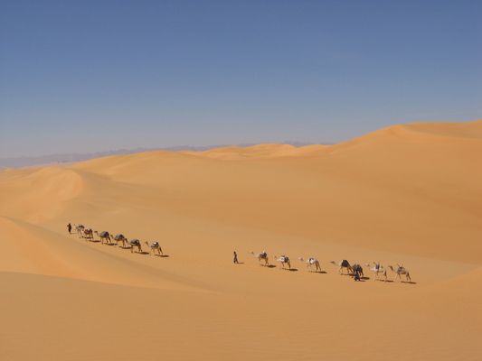 Niger Entre Adar Chiriet et Arakao: Notre caravane au milieu de l'erg